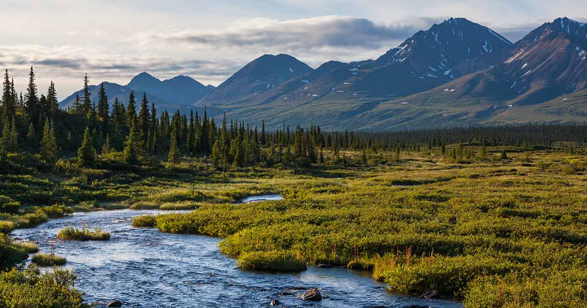 Anchorage image